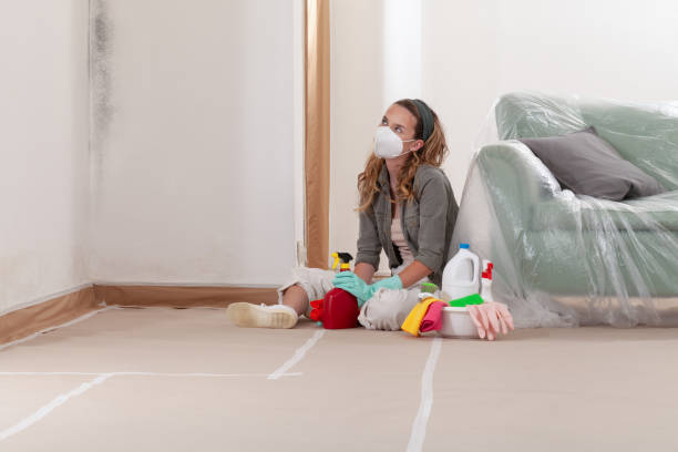 Reliable Mold Cleanup contractor in Gilbert, AZ by Cheap Mold Removal